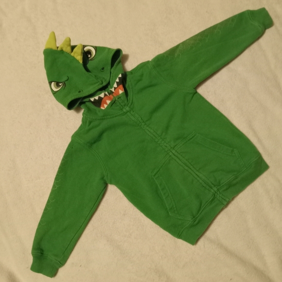 Wonderkids Other - WonderKids Green Zip Up Dionsaur Hooded Sweatshirt size 24M
